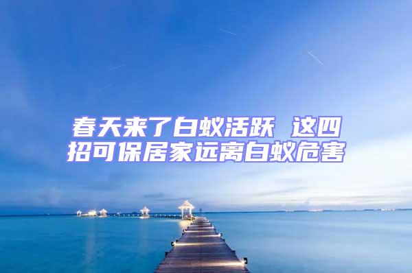 春天來(lái)了白蟻活躍 這四招可保居家遠(yuǎn)離白蟻危害