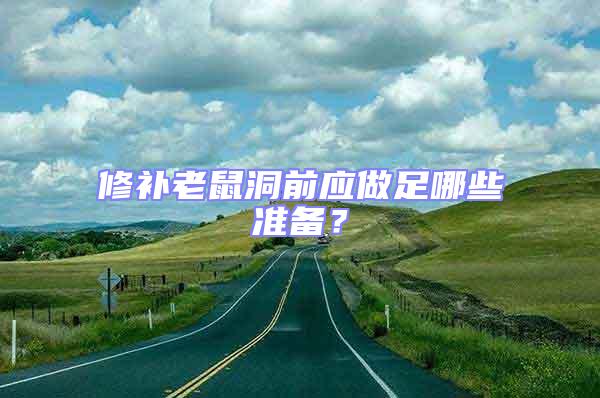 修補老鼠洞前應做足哪些準備?