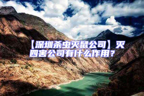 【深圳殺蟲滅鼠公司】滅四害公司有什么作用？