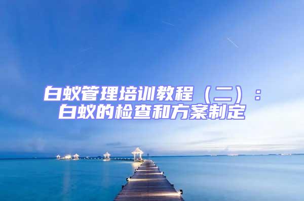 白蟻管理培訓教程（二）：白蟻的檢查和方案制定