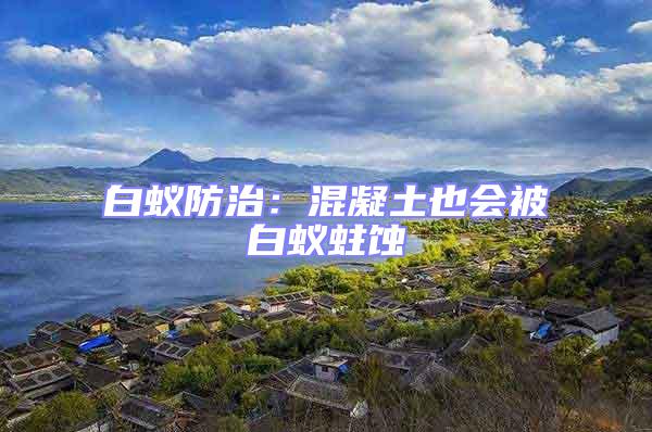 白蟻防治：混凝土也會被白蟻蛀蝕