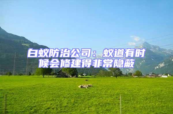白蟻防治公司：蟻道有時候會修建得非常隱蔽