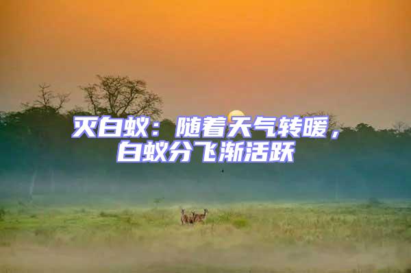 滅白蟻：隨著天氣轉(zhuǎn)暖，白蟻分飛漸活躍