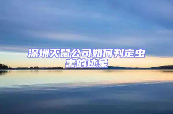 深圳滅鼠公司如何判定蟲(chóng)害的跡象