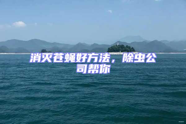 消滅蒼蠅好方法，除蟲公司幫你