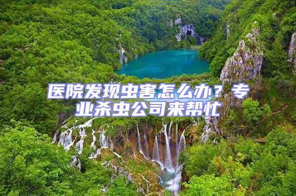 醫院發現蟲害怎么辦？專業殺蟲公司來幫忙