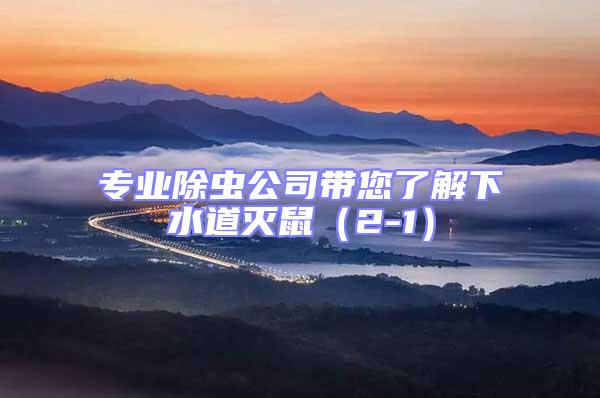 專業(yè)除蟲公司帶您了解下水道滅鼠(2-1)