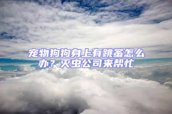 寵物狗狗身上有跳蚤怎么辦？滅蟲公司來幫忙