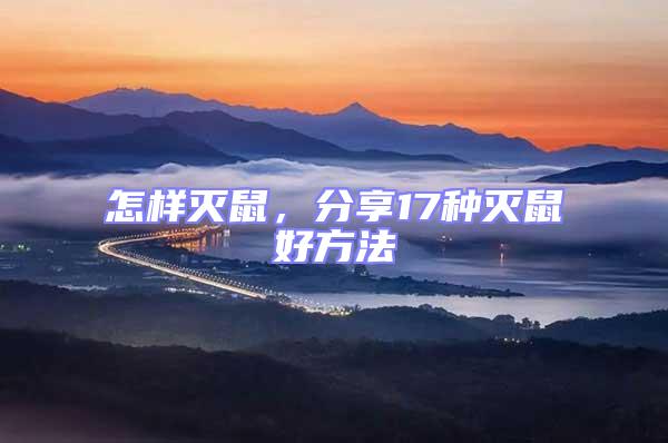 怎樣滅鼠，分享17種滅鼠好方法