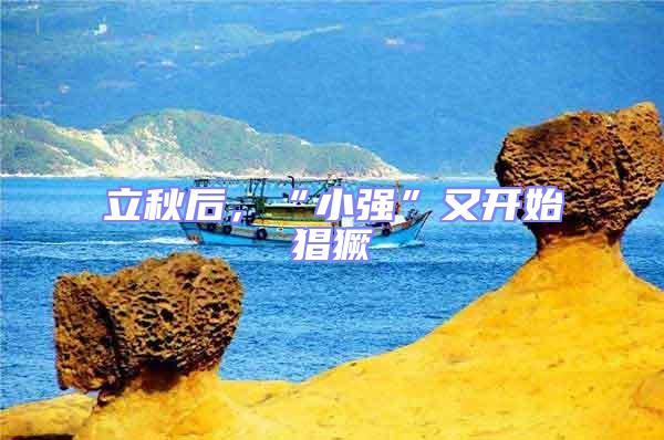 立秋后,“小強”又開始猖獗