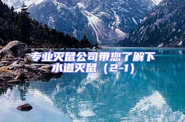 專(zhuān)業(yè)滅鼠公司帶您了解下水道滅鼠（2-1）