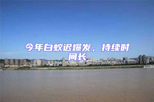 今年白蟻遲爆發，持續時間長