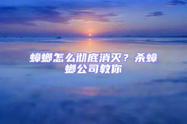 蟑螂怎么徹底消滅？殺蟑螂公司教你