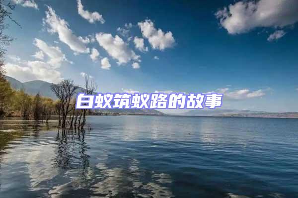 白蟻筑蟻路的故事