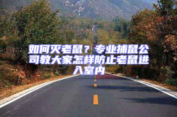 如何滅老鼠？專業捕鼠公司教大家怎樣防止老鼠進入室內