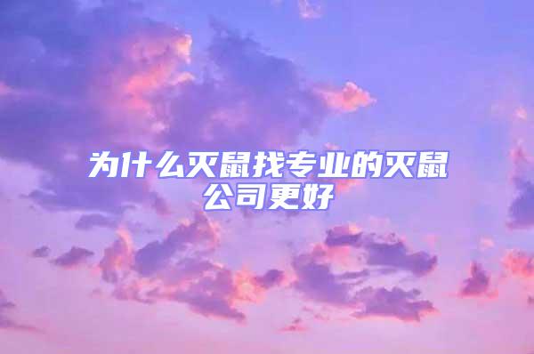 為什么滅鼠找專業(yè)的滅鼠公司更好
