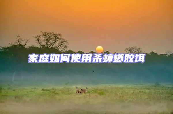 家庭如何使用殺蟑螂膠餌