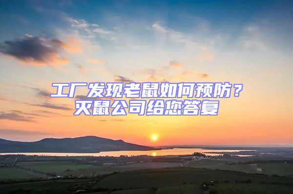 工廠發現老鼠如何預防？滅鼠公司給您答復