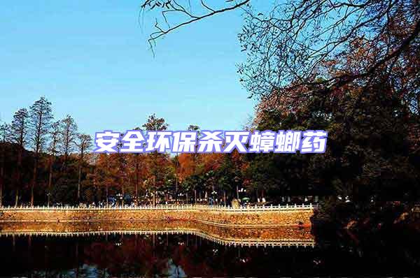 安全環保殺滅蟑螂藥