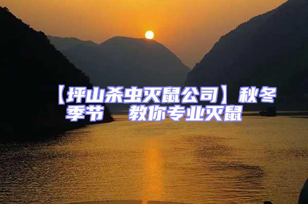 【坪山殺蟲滅鼠公司】秋冬季節(jié) 教你專業(yè)滅鼠