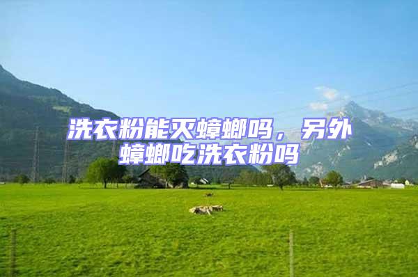 洗衣粉能滅蟑螂嗎，另外蟑螂吃洗衣粉嗎