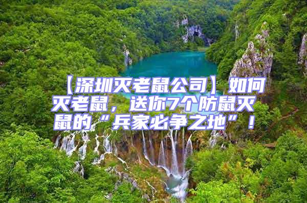 【深圳滅老鼠公司】如何滅老鼠，送你7個防鼠滅鼠的“兵家必爭之地”！