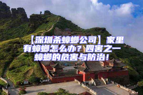 【深圳殺蟑螂公司】家里有蟑螂怎么辦？四害之一蟑螂的危害與防治！