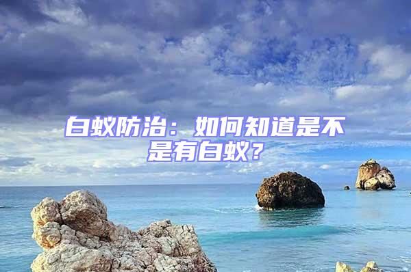 白蟻防治：如何知道是不是有白蟻？