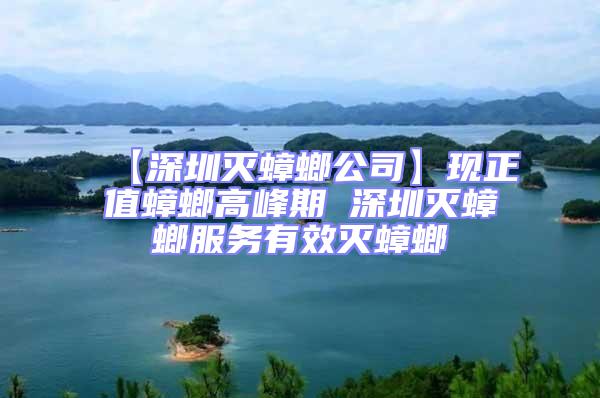 【深圳滅蟑螂公司】現(xiàn)正值蟑螂高峰期 深圳滅蟑螂服務(wù)有效滅蟑螂