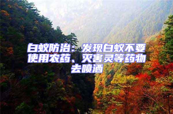 白蟻防治:發現白蟻不要使用農藥、滅害靈等藥物去噴灑