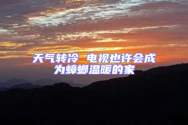 天氣轉(zhuǎn)冷 電視也許會(huì)成為蟑螂溫暖的家