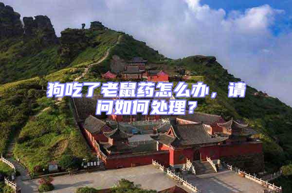 狗吃了老鼠藥怎么辦，請問如何處理？