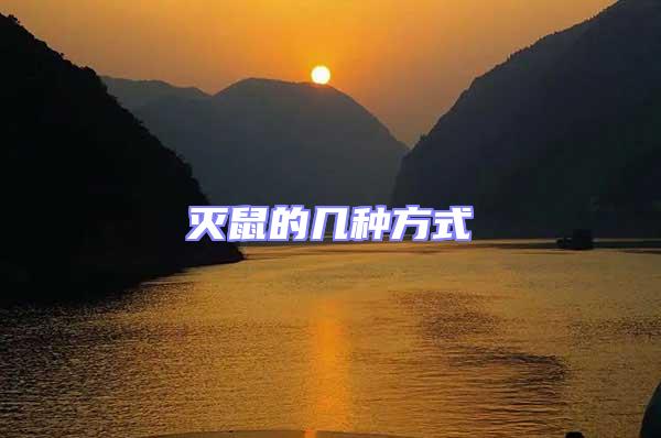 滅鼠的幾種方式