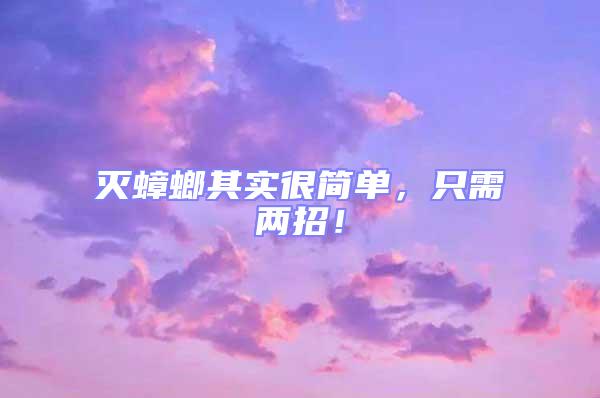 滅蟑螂其實(shí)很簡單，只需兩招！