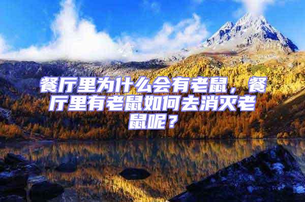 餐廳里為什么會(huì)有老鼠，餐廳里有老鼠如何去消滅老鼠呢？