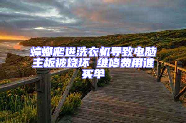 蟑螂爬進(jìn)洗衣機(jī)導(dǎo)致電腦主板被燒壞 維修費(fèi)用誰(shuí)買單