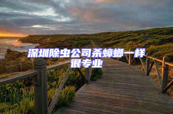 深圳除蟲公司殺蟑螂一樣很專業