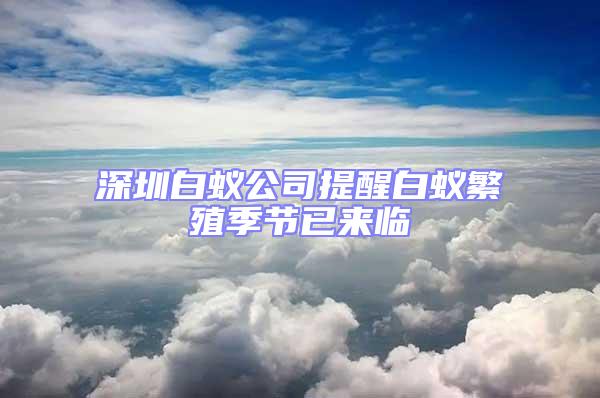 深圳白蟻公司提醒白蟻繁殖季節已來臨