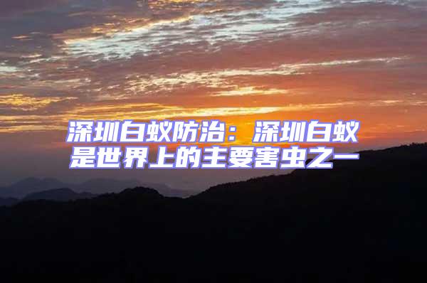 深圳白蟻防治：深圳白蟻是世界上的主要害蟲之一