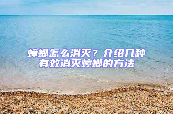 蟑螂怎么消滅？介紹幾種有效消滅蟑螂的方法