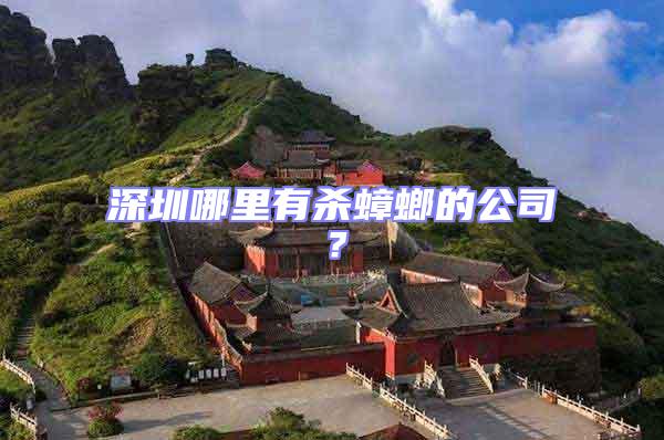 深圳哪里有殺蟑螂的公司?