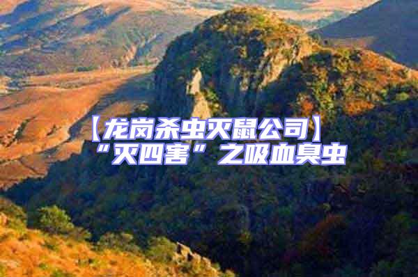 【龍崗殺蟲(chóng)滅鼠公司】“滅四害”之吸血臭蟲(chóng)