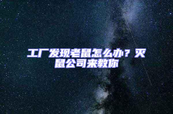 工廠發(fā)現(xiàn)老鼠怎么辦？滅鼠公司來教你