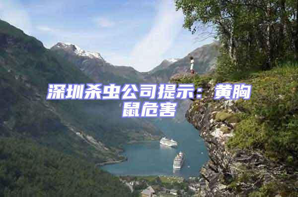 深圳殺蟲(chóng)公司提示：黃胸鼠危害