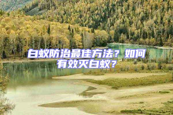 白蟻防治最佳方法?如何有效滅白蟻?