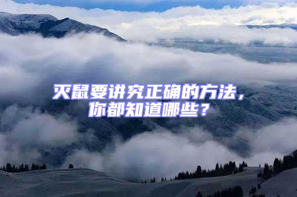 滅鼠要講究正確的方法，你都知道哪些？