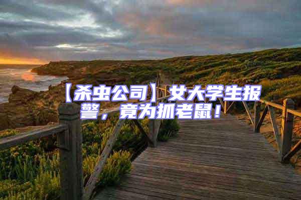 【殺蟲公司】女大學生報警，竟為抓老鼠！