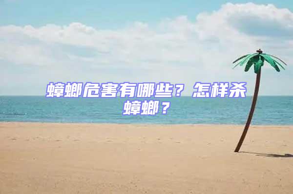 蟑螂危害有哪些？怎樣殺蟑螂？
