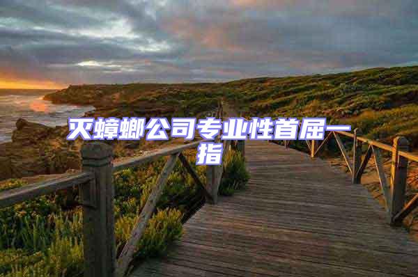 滅蟑螂公司專業性首屈一指