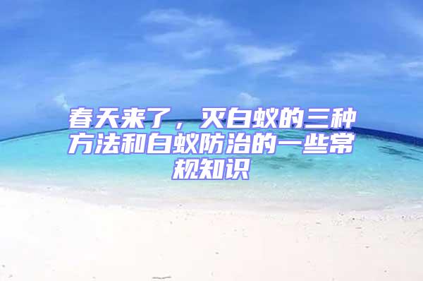 春天來了，滅白蟻的三種方法和白蟻防治的一些常規知識